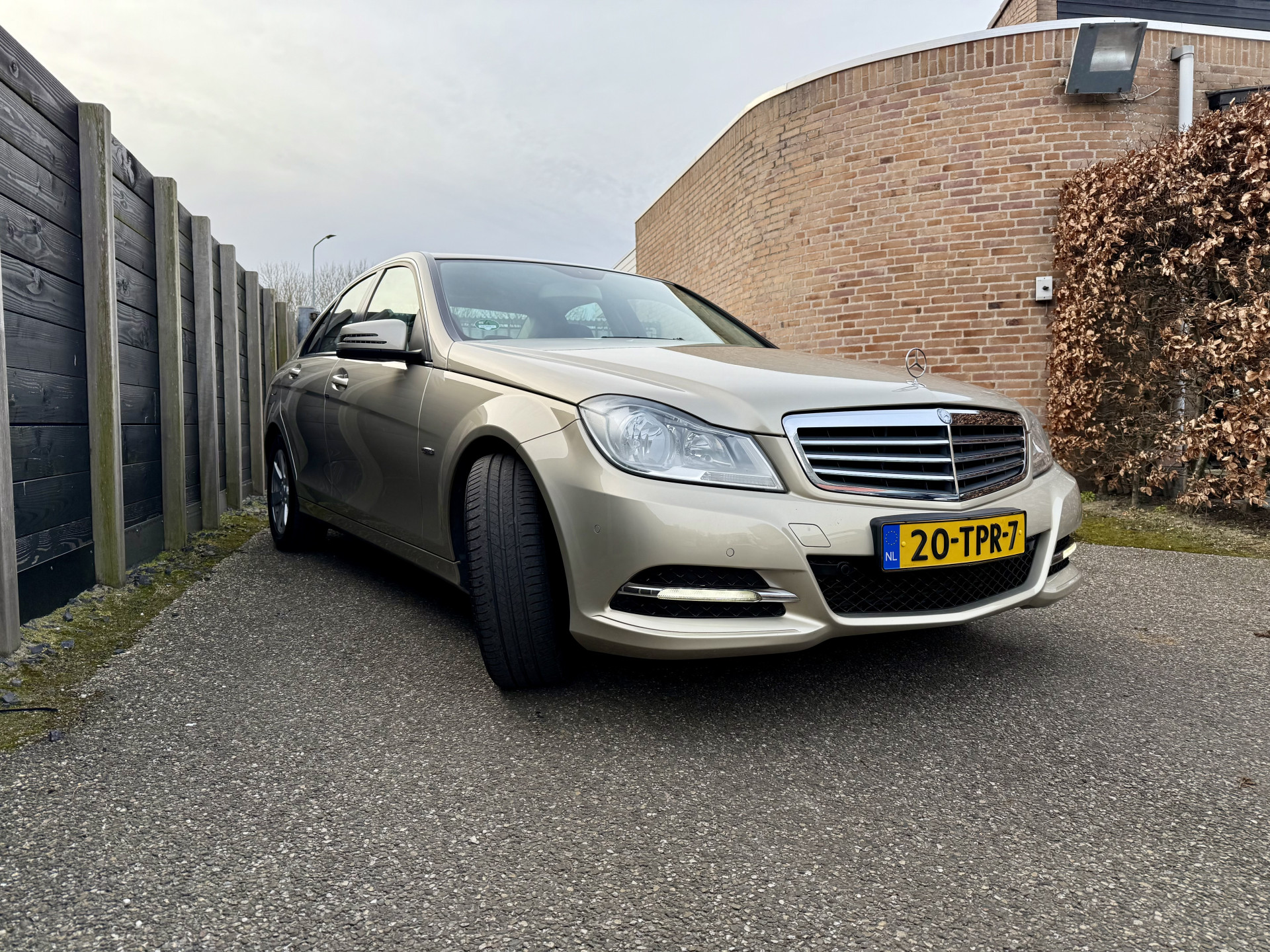 43152368-3.jpg