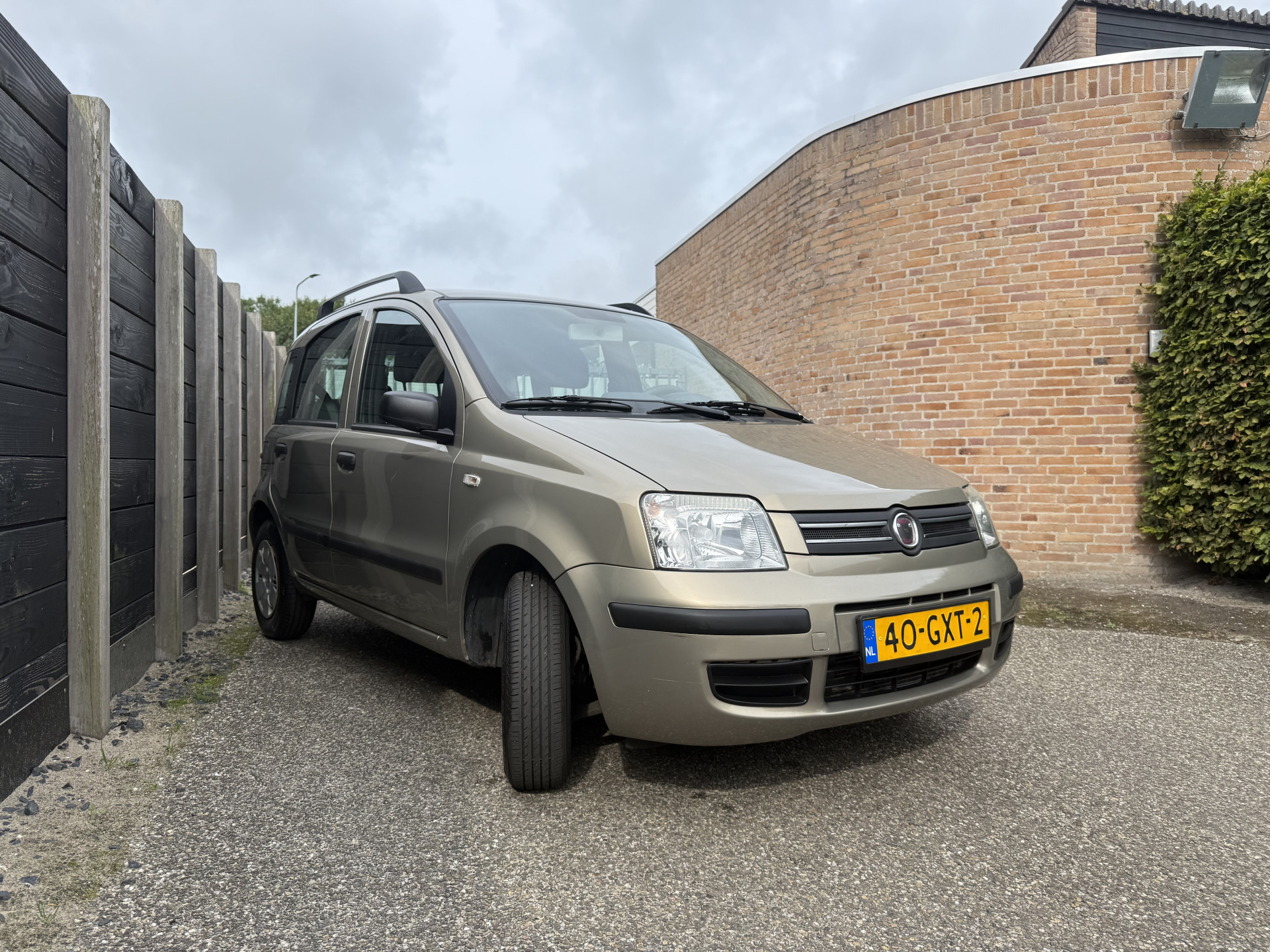 47078026-3.jpg