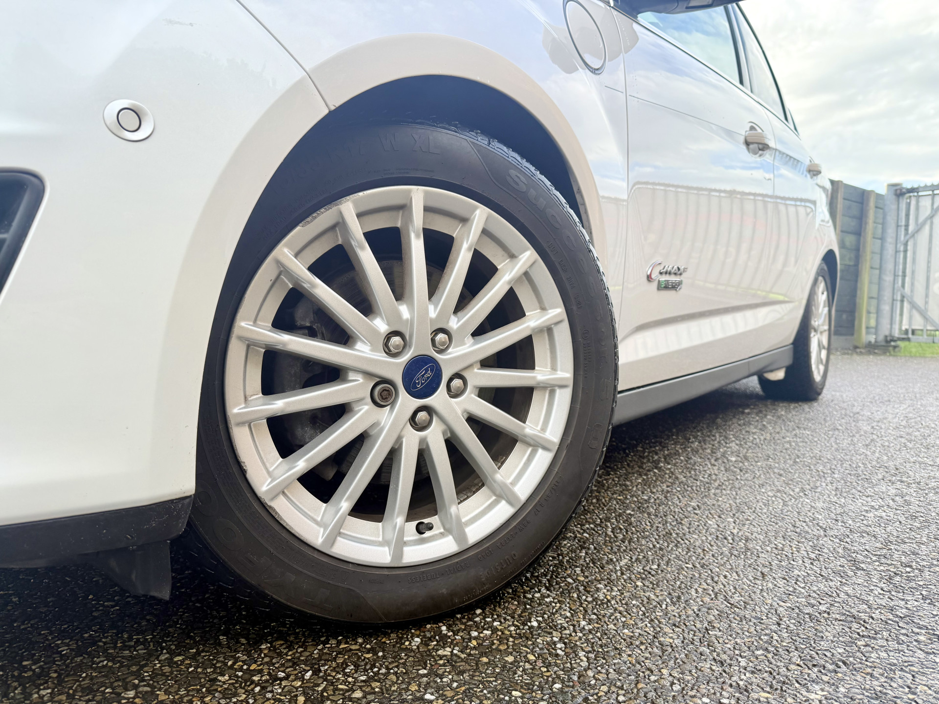 48525294-1.jpg