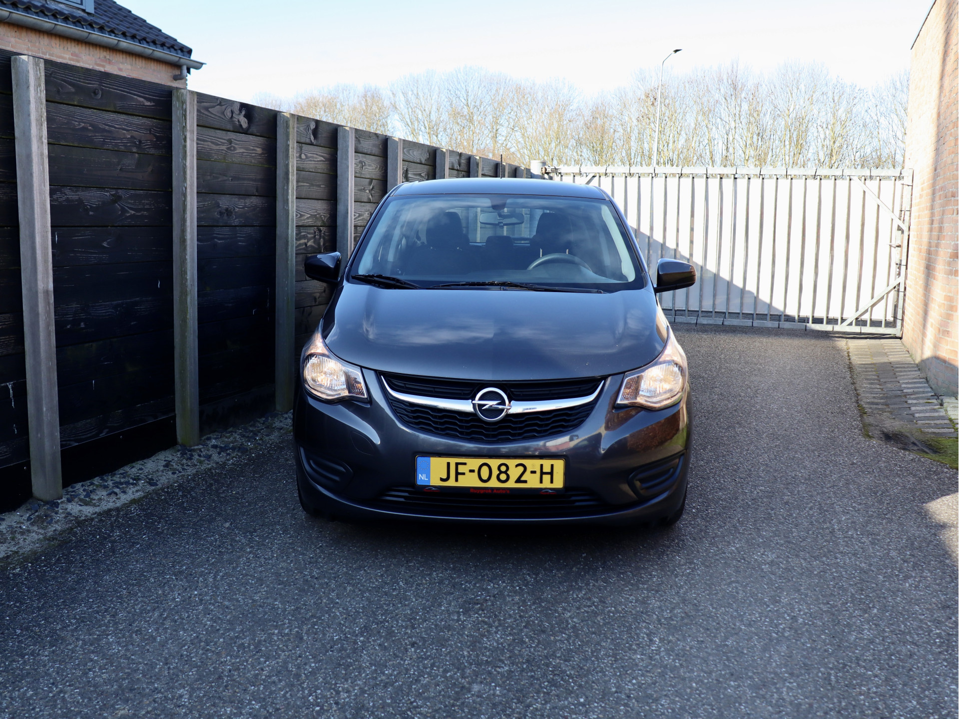 51191777-1.jpg