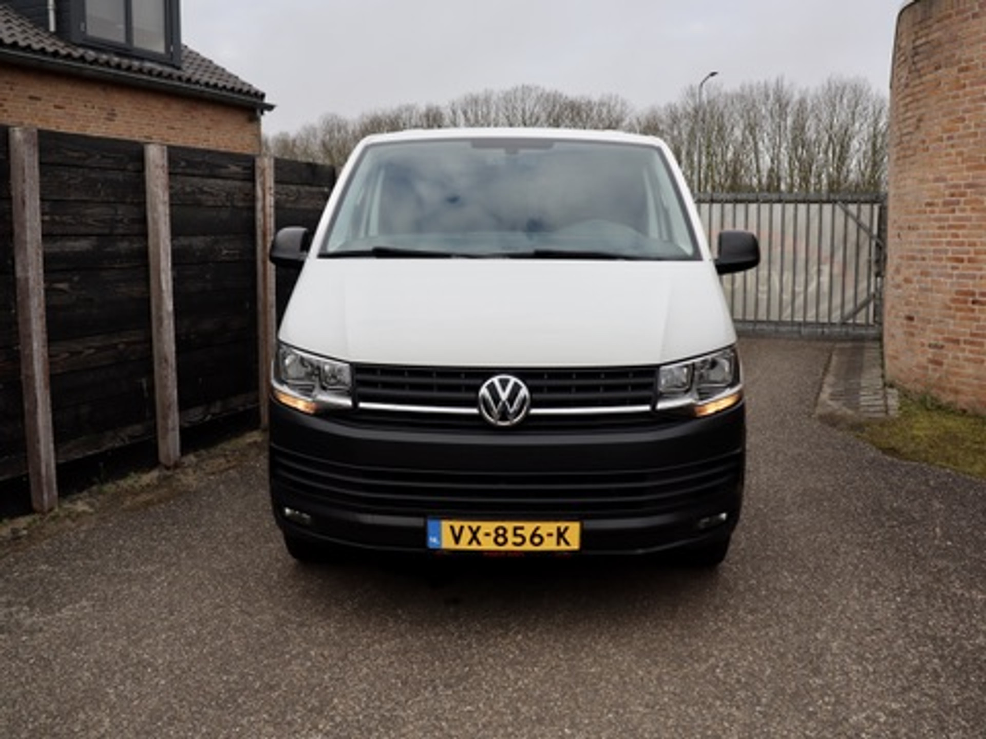 51668941-1.jpg