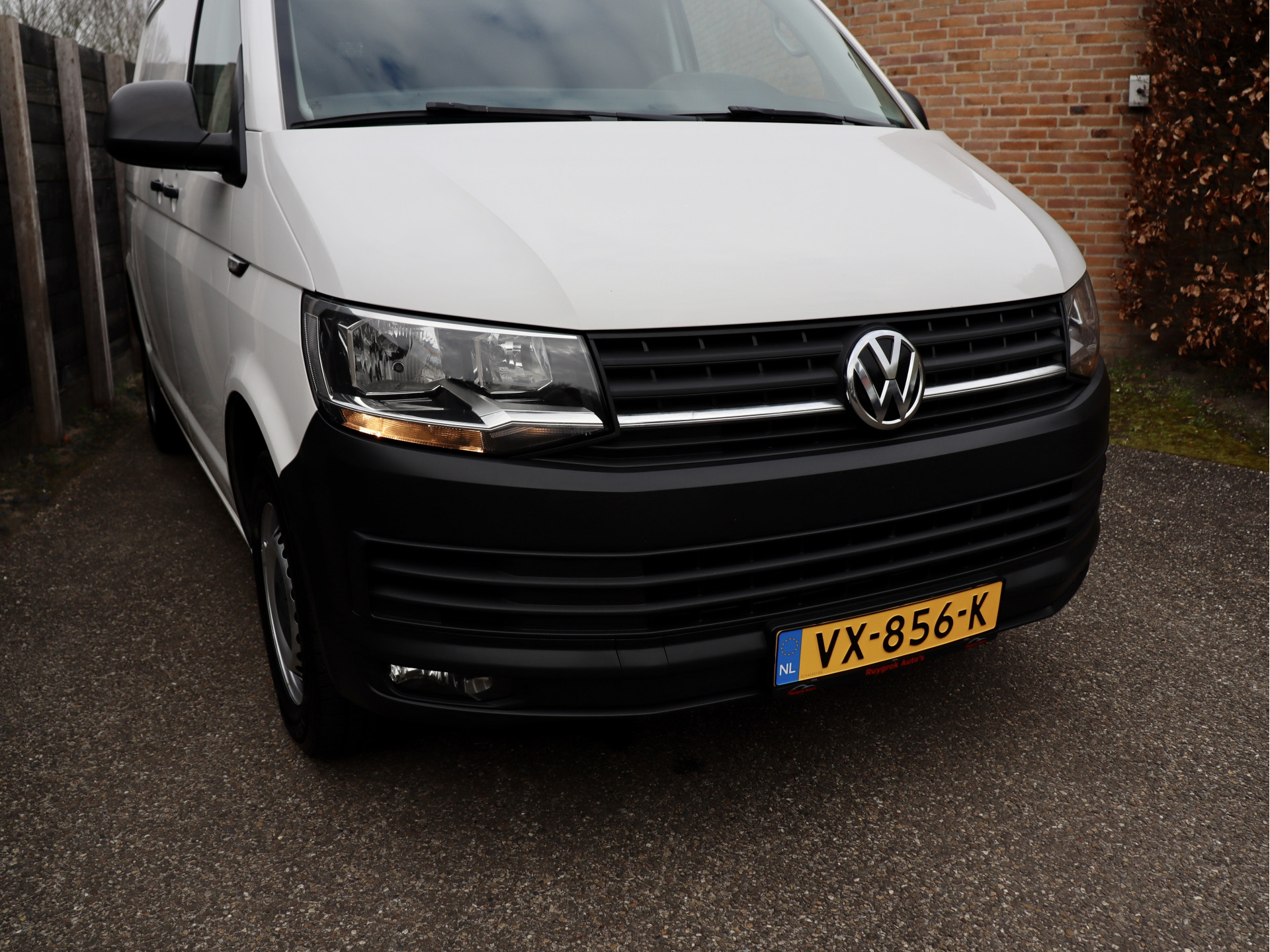 51668941-3.jpg