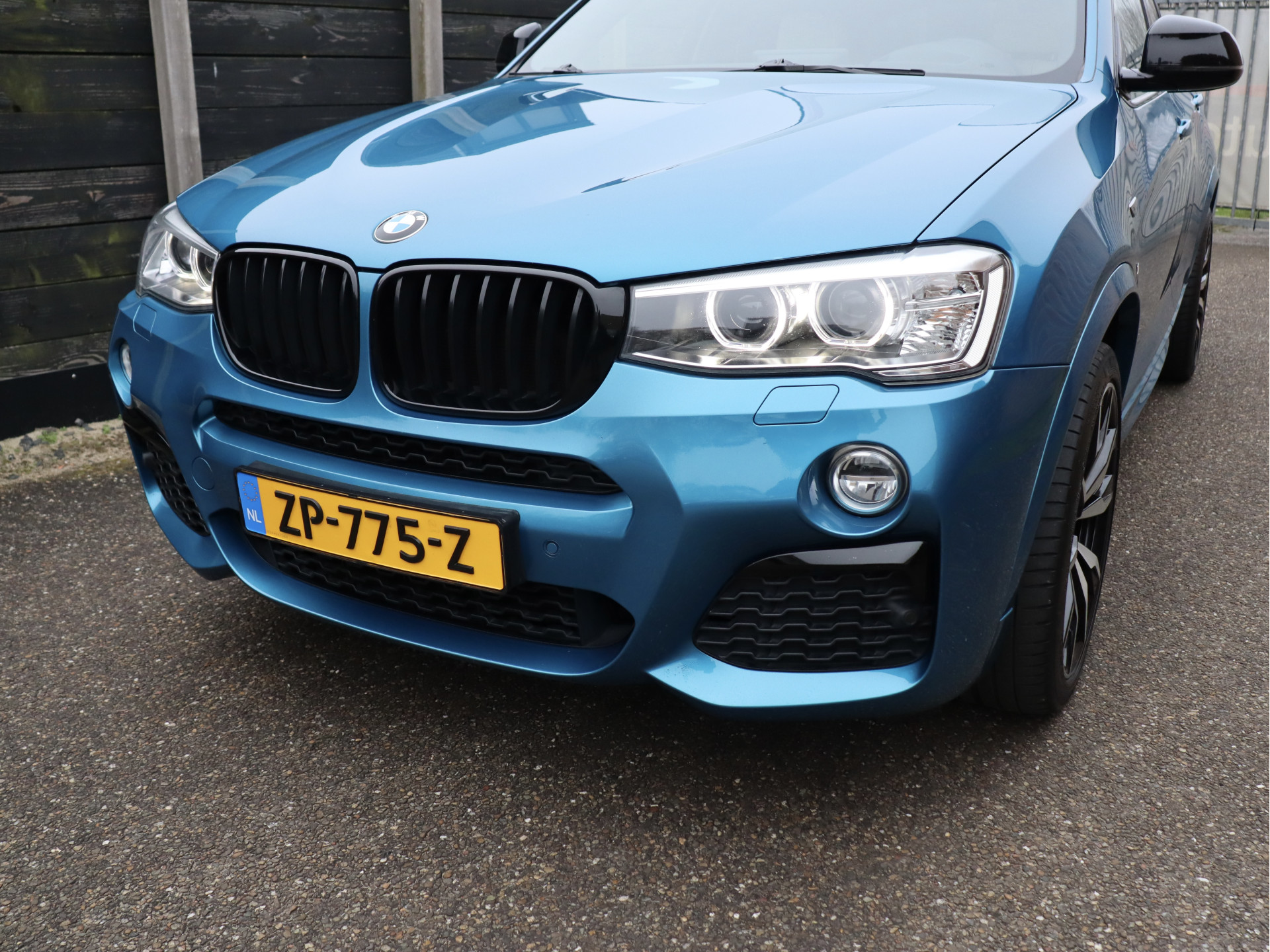 51672490-2.jpg
