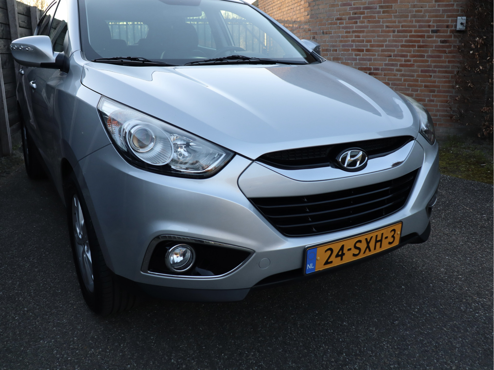 52539499-3.jpg