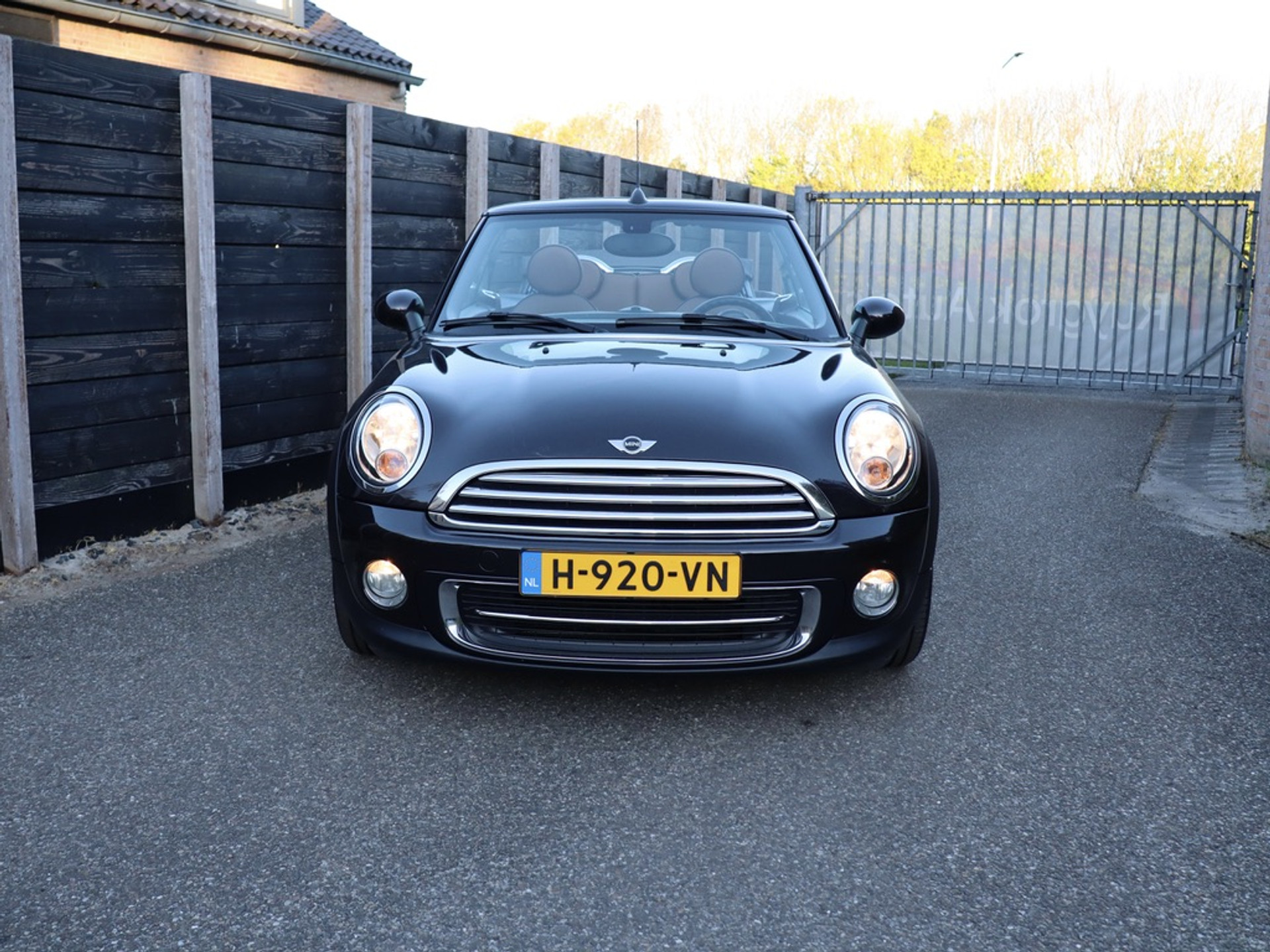 52695148-2.jpg