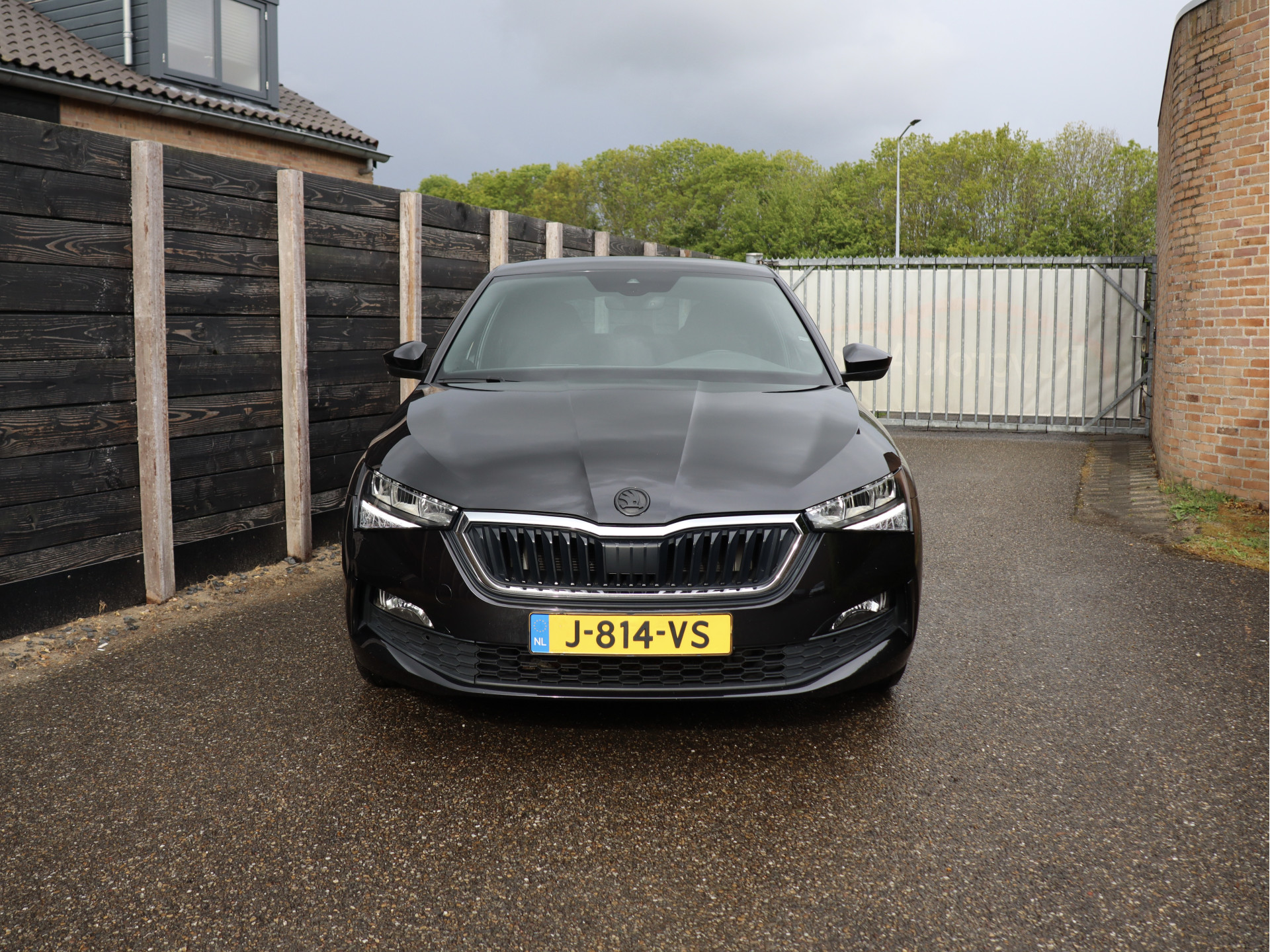53060716-1.jpg