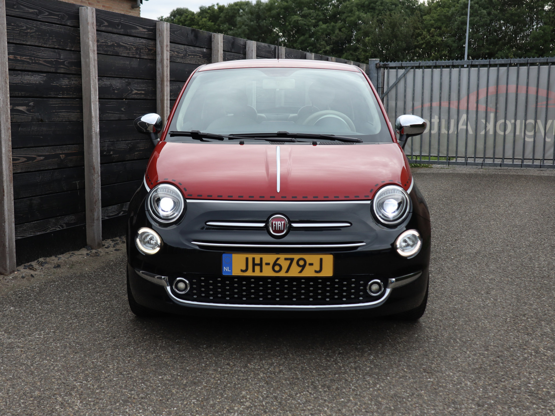 54138392-2.jpg