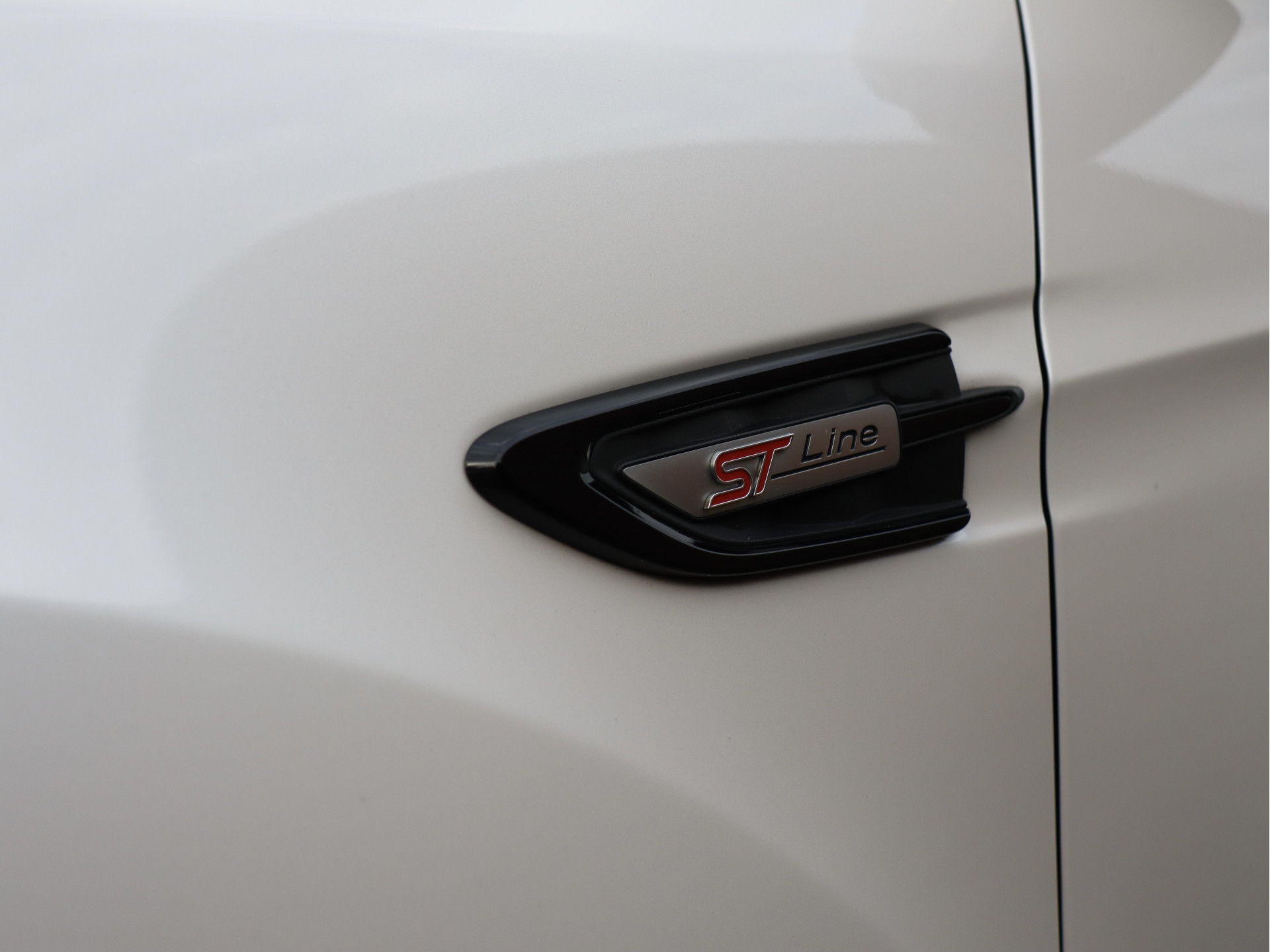 54181031-2.jpg
