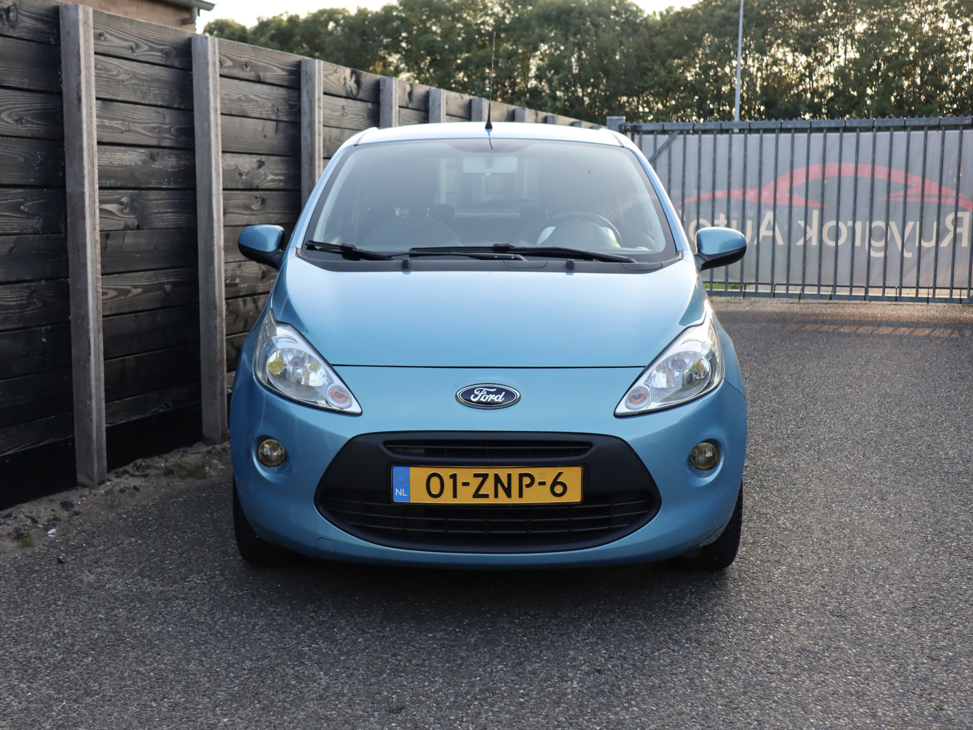 55118930-1.jpg