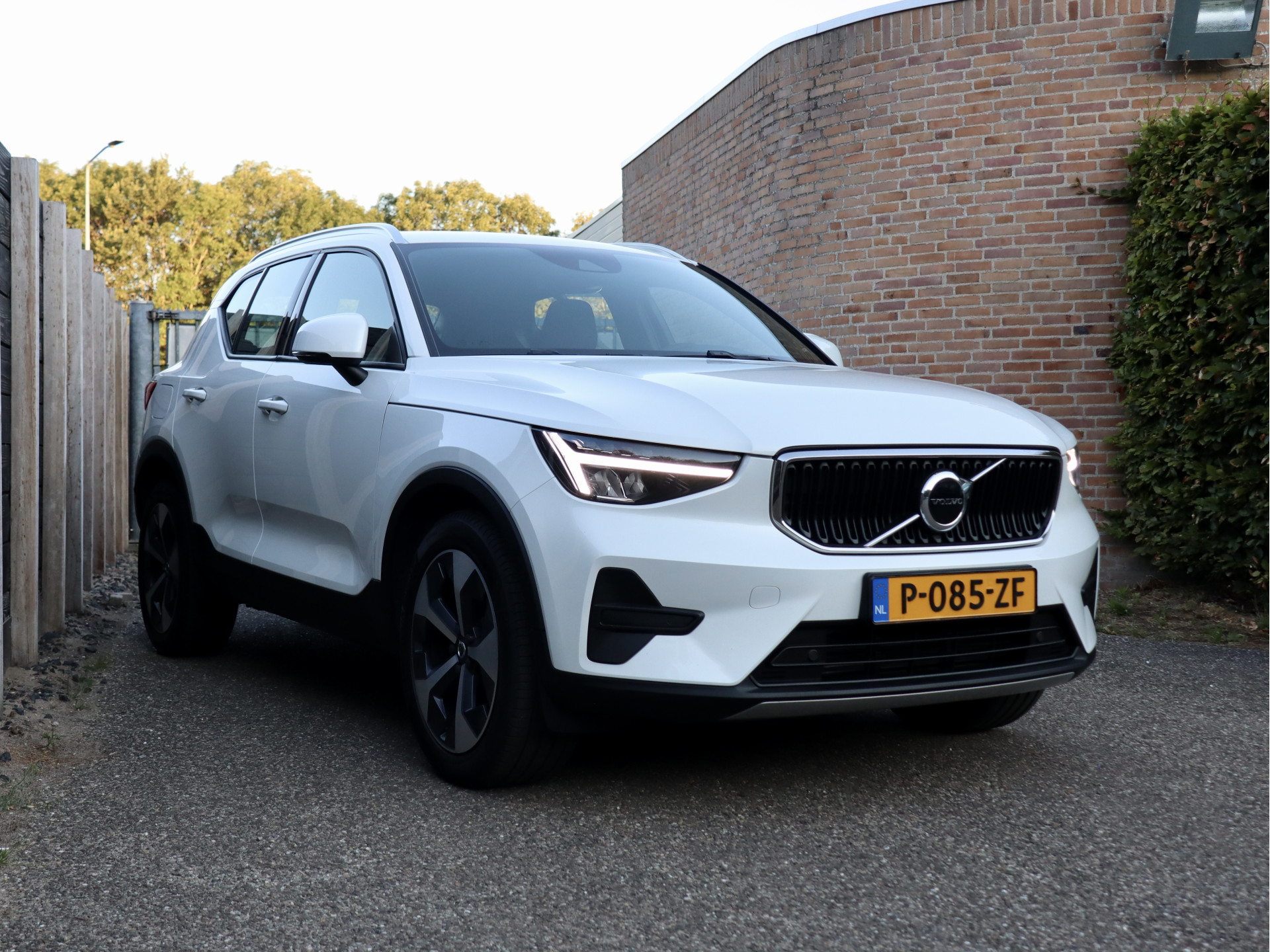 55502583-3.jpg