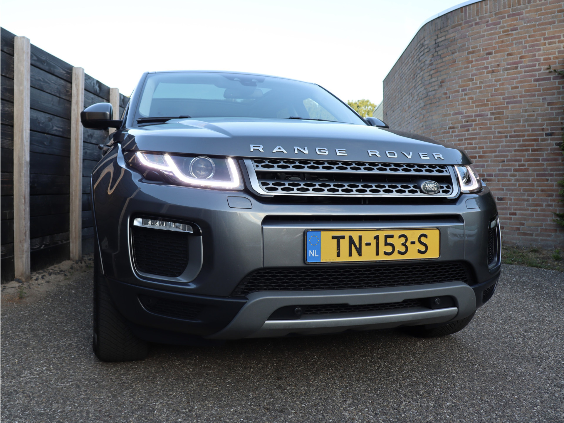 55872983-3.jpg