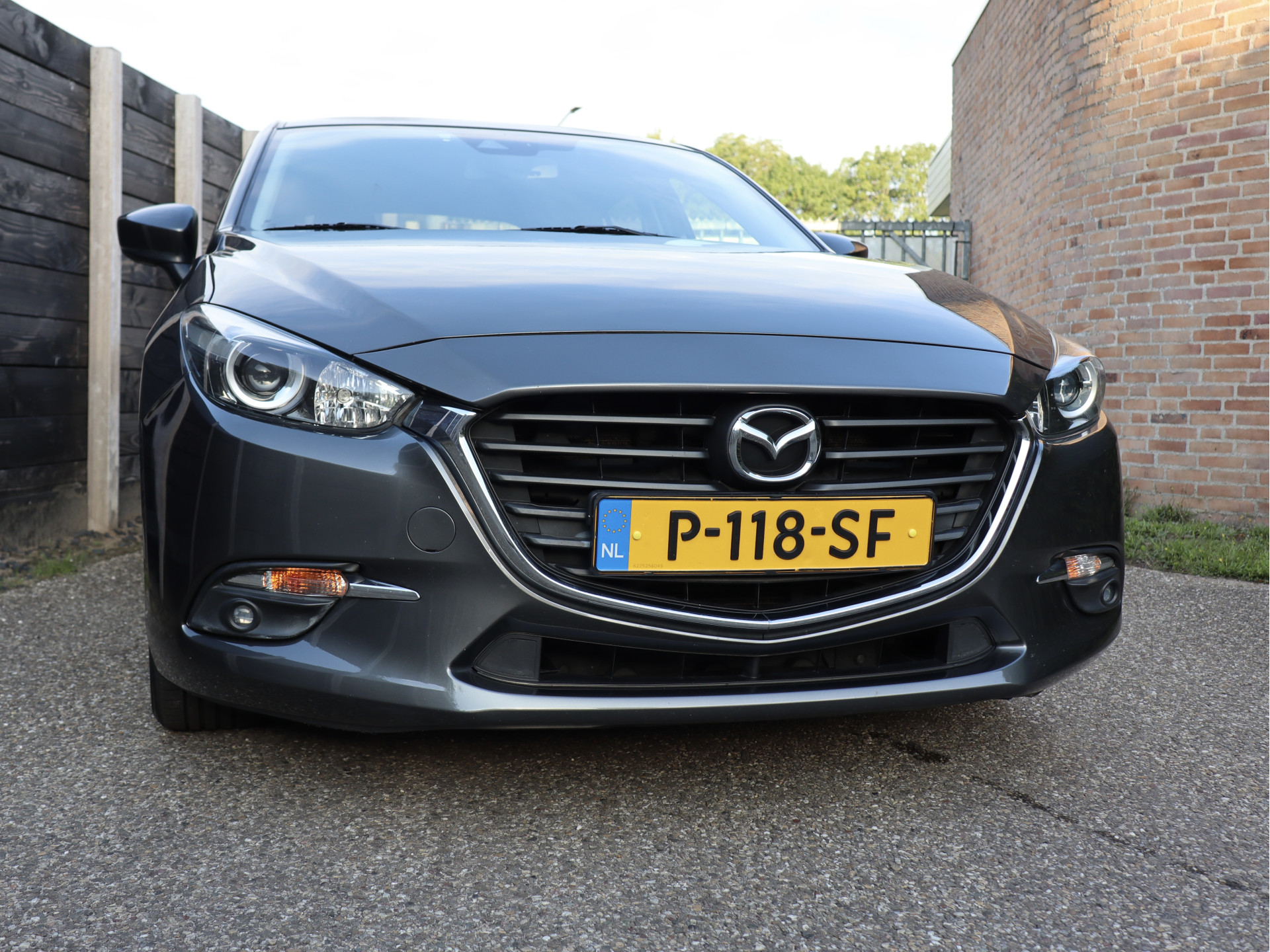 56053988-3.jpg