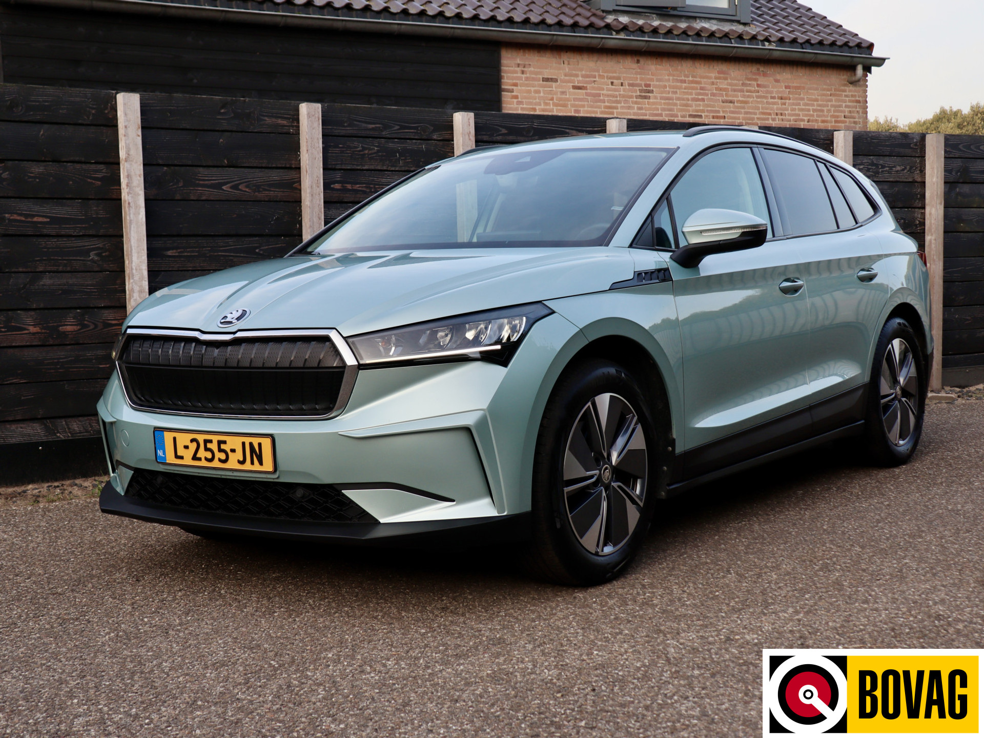 56134685