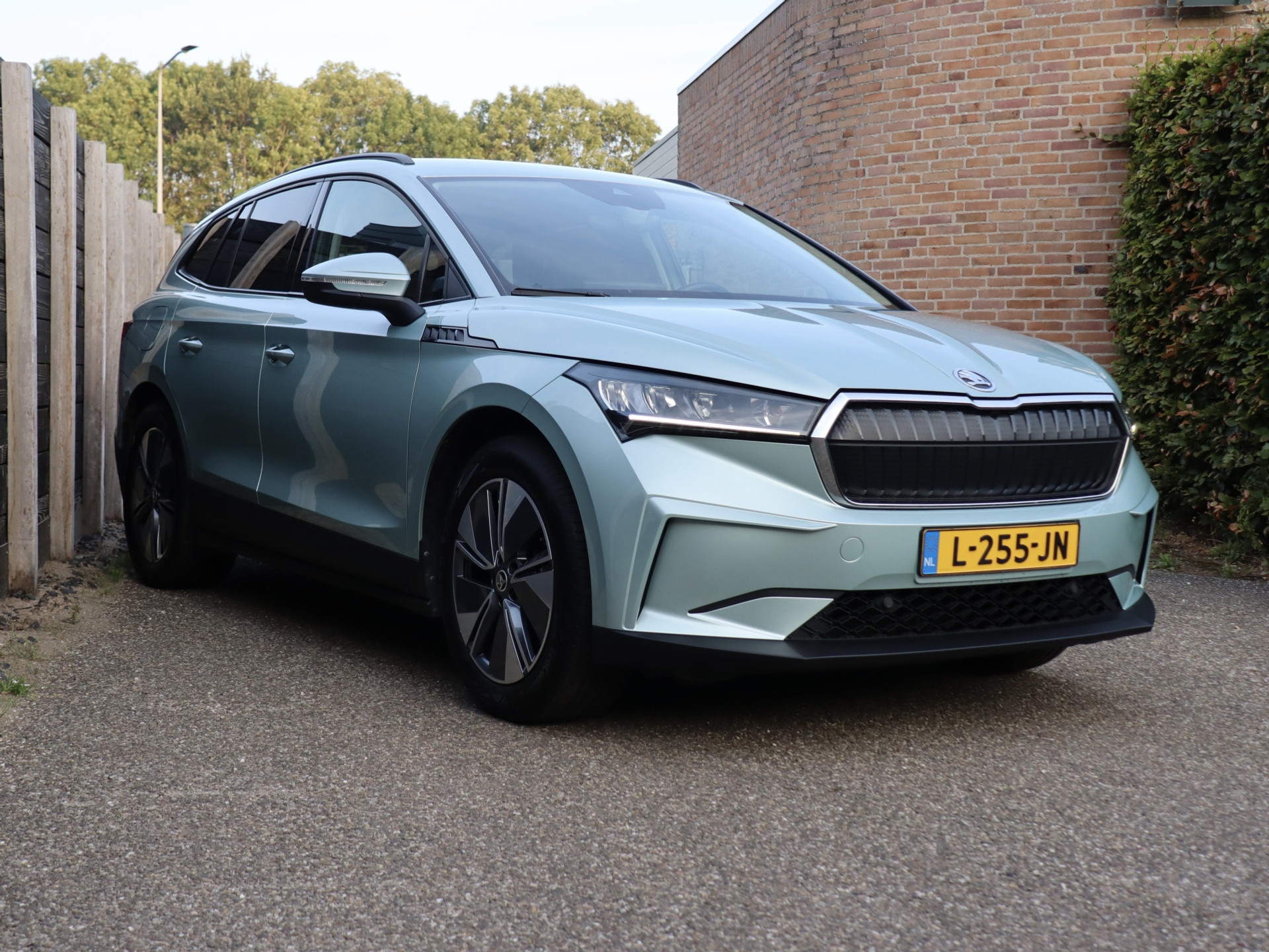 56134685-3.jpg