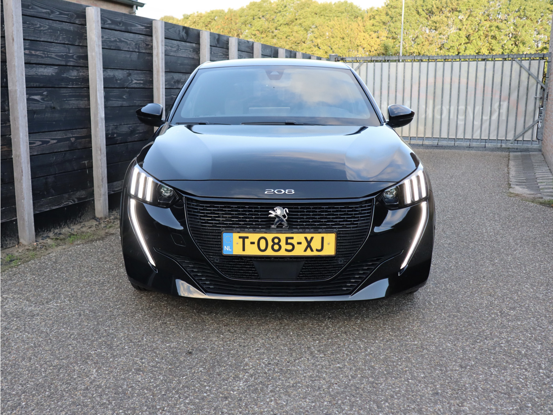 56349381-3.jpg