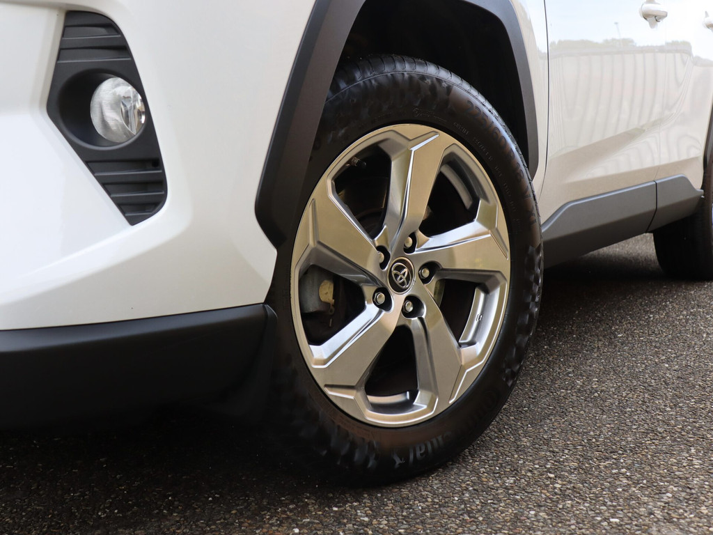 57450926-1.jpg
